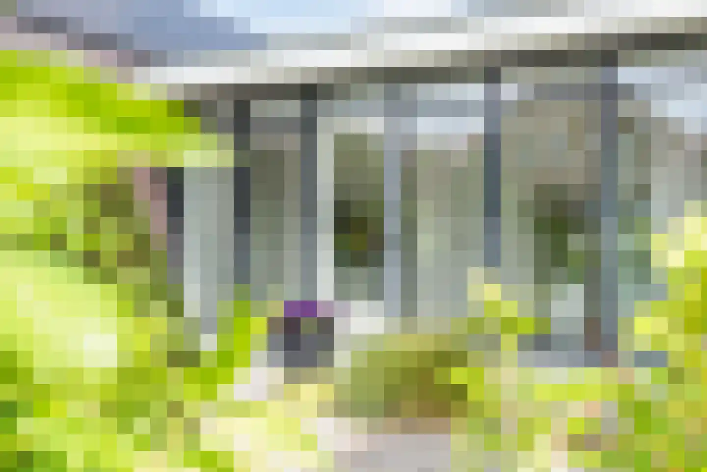 Bosstraat 4 Doetinchem thumbnail 7