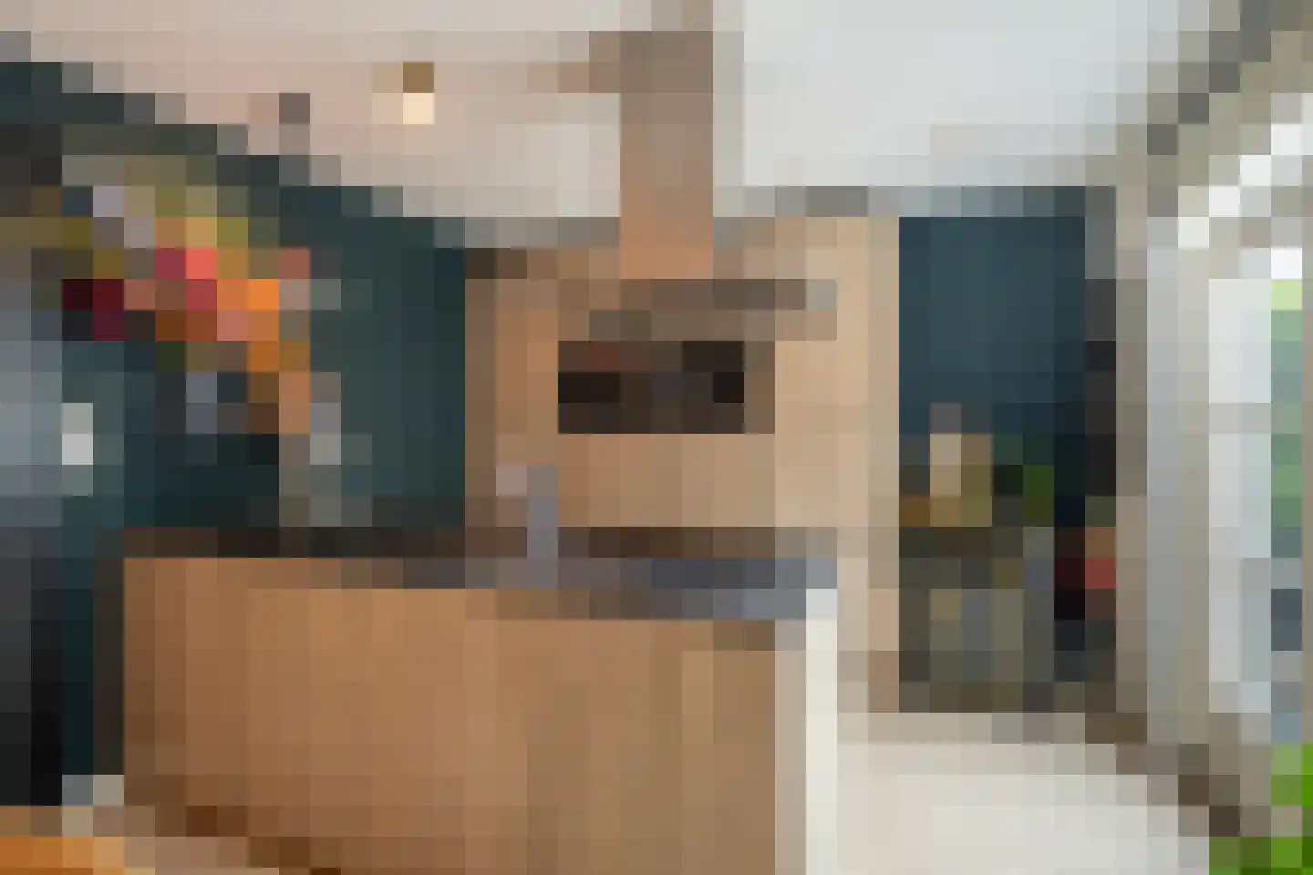 Bosstraat 4 Tholen thumbnail 15