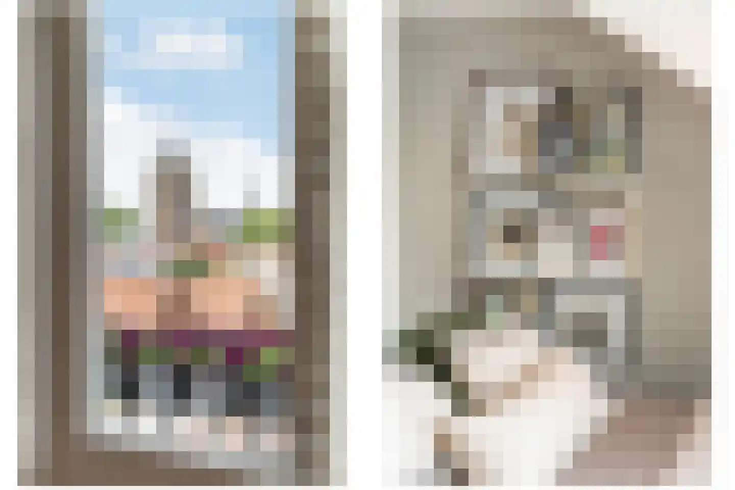 Bosstraat 4 Tholen thumbnail 24