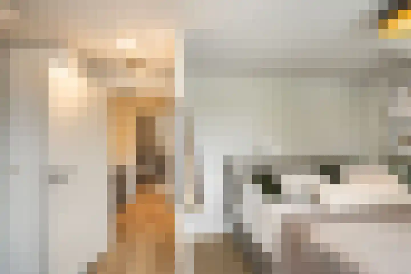Bosstraat 4 Tholen thumbnail 29