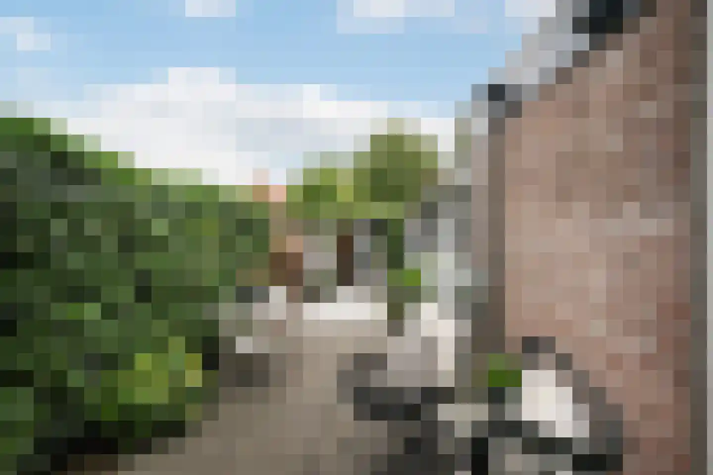 Bosstraat 4 Tholen thumbnail 36