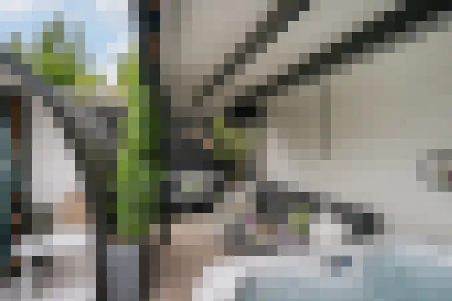 Bosstraat 4 Tholen thumbnail 38