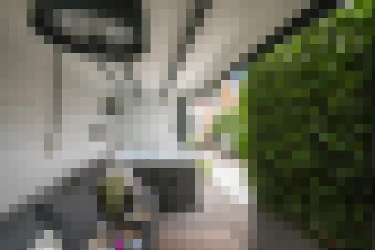Bosstraat 4 Tholen thumbnail 39