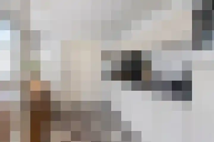 Bosstraat 46 Echt thumbnail 17