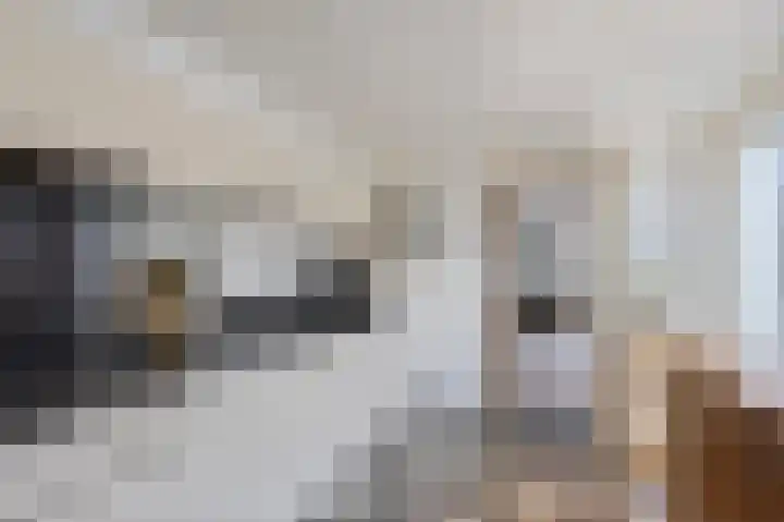 Bosstraat 46 Echt thumbnail 21