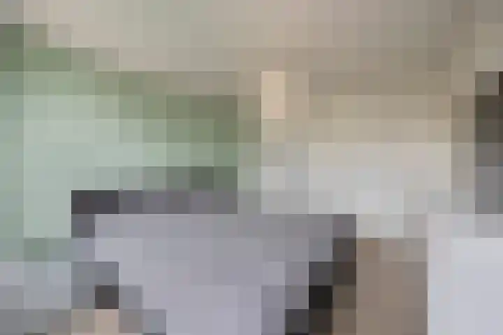 Bosstraat 46 Echt thumbnail 27