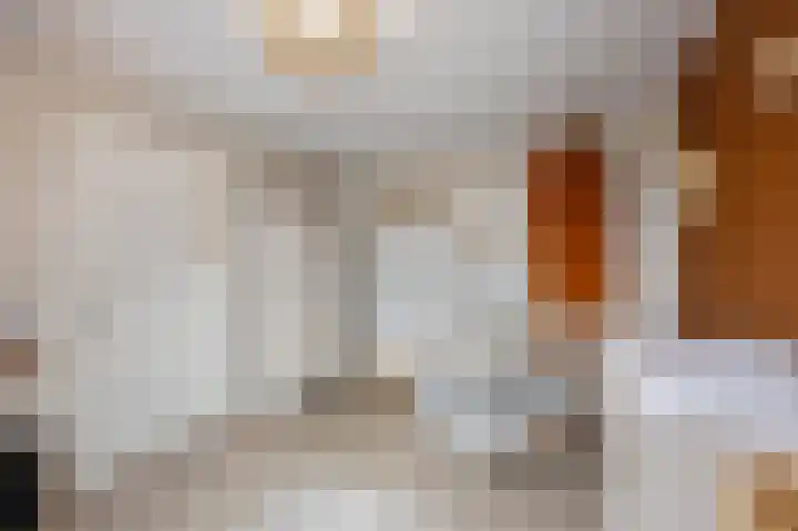 Bosstraat 46 Echt thumbnail 29