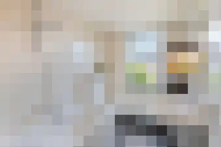 Bosstraat 46 Echt thumbnail 31