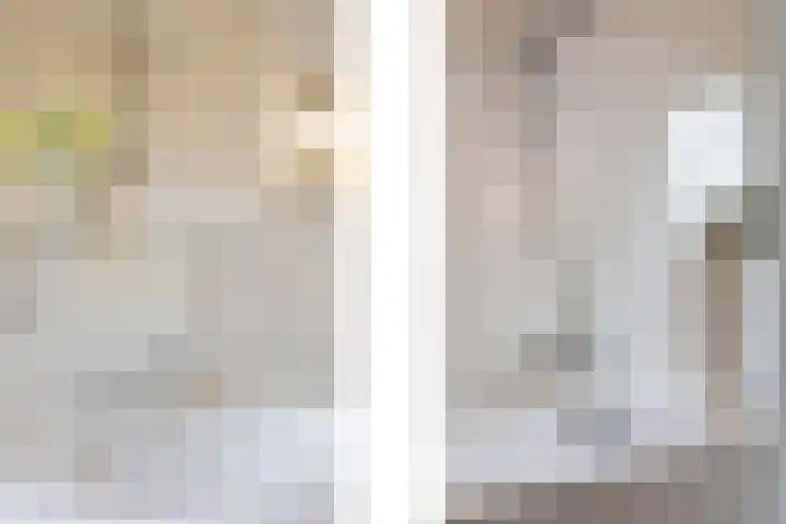 Bosstraat 46 Echt thumbnail 33