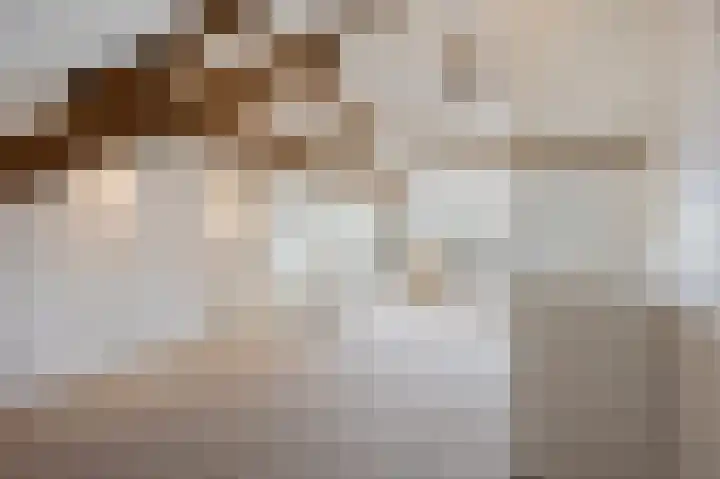 Bosstraat 46 Echt thumbnail 35
