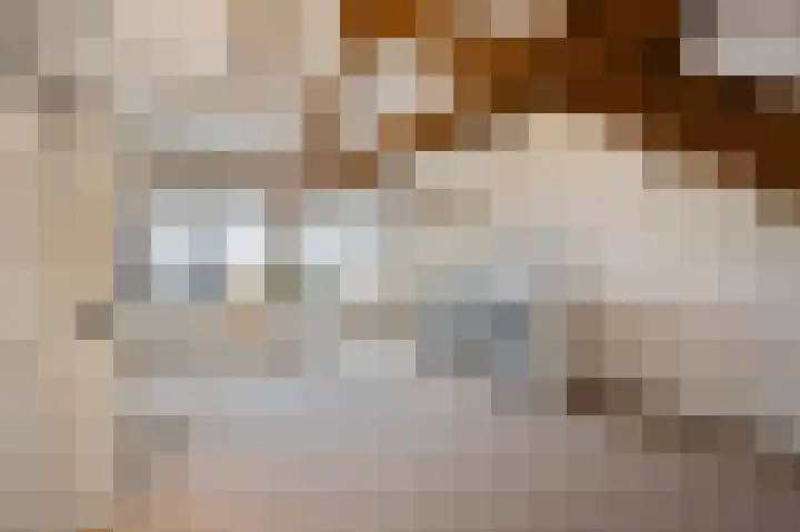Bosstraat 46 Echt thumbnail 36