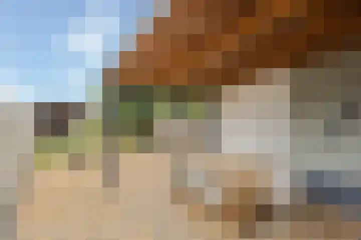 Bosstraat 46 Echt thumbnail 4