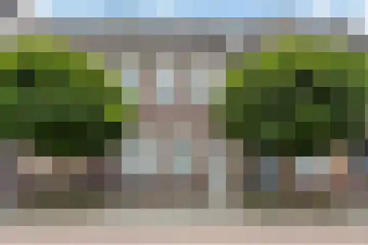 Bosstraat 46 Echt thumbnail 49
