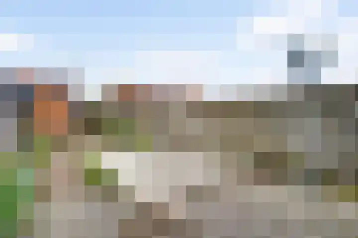 Bosstraat 47 A Swalmen thumbnail 30