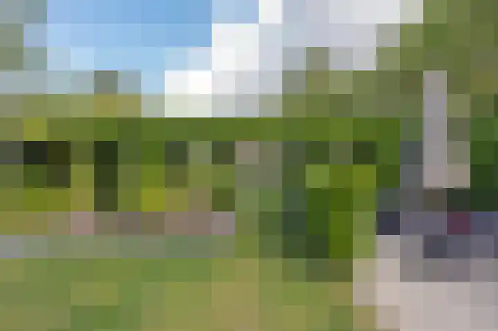 Bosstraat 48 Assen thumbnail 43