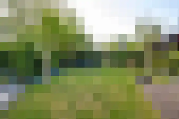 Bosstraat 48 Assen thumbnail 50