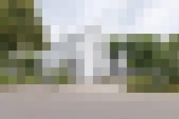 Bosstraat 5 a Driebergen-Rijsenburg thumbnail 47