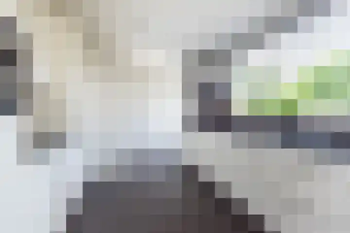 Bosstraat 5 Silvolde thumbnail 14