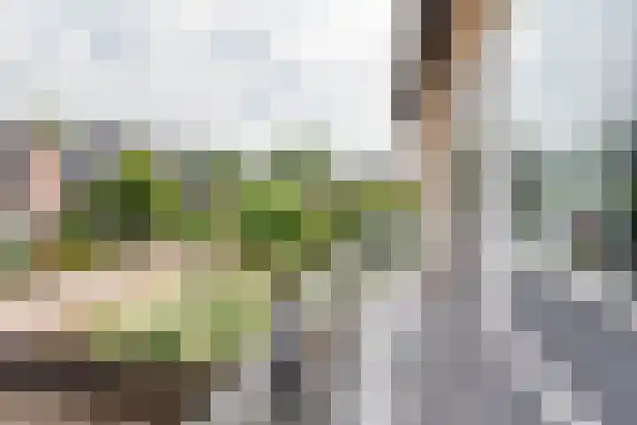 Bosstraat 5 Silvolde thumbnail 16