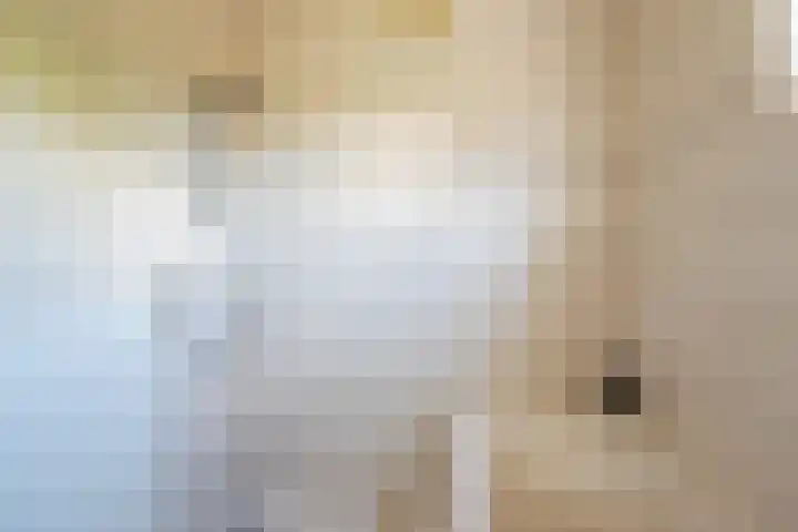 Bosstraat 5 Silvolde thumbnail 22