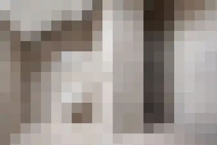 Bosstraat 5 Silvolde thumbnail 31