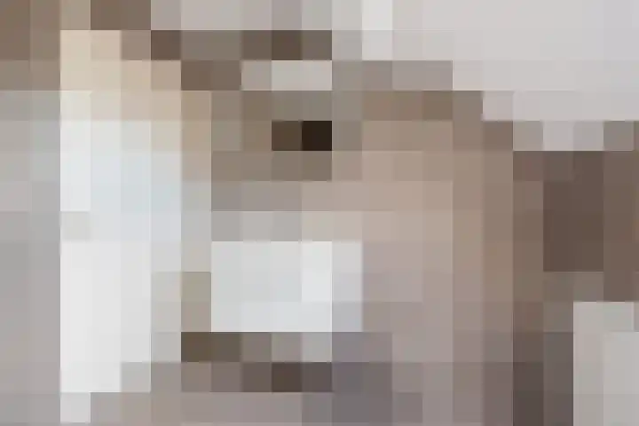 Bosstraat 5 Silvolde thumbnail 32