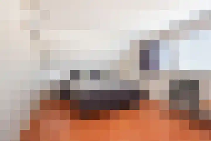 Bosstraat 5 Silvolde thumbnail 34