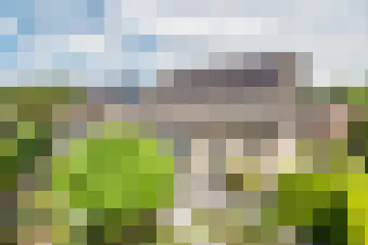 Bosstraat 5 Silvolde thumbnail 46