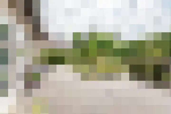 Bosstraat 5 Silvolde thumbnail 48