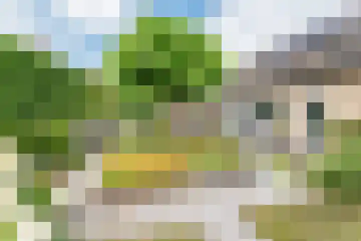 Bosstraat 5 Silvolde thumbnail 49