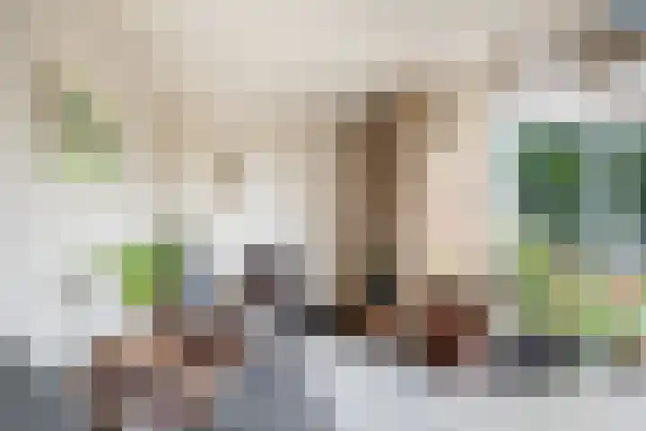 Bosstraat 5 Silvolde thumbnail 51
