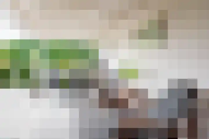 Bosstraat 5 Silvolde thumbnail 52