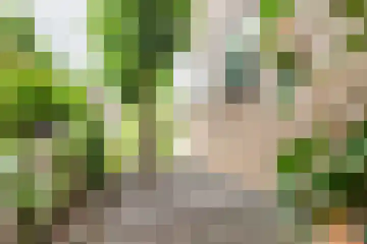 Bosstraat 5 Silvolde thumbnail 53
