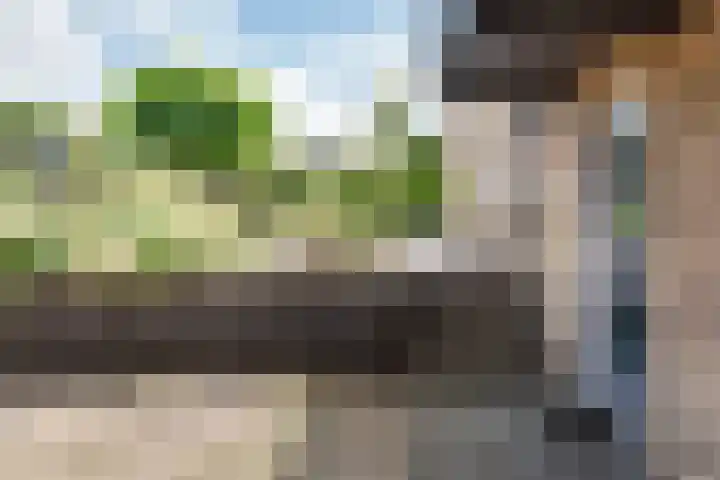 Bosstraat 5 Silvolde thumbnail 54