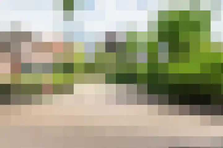 Bosstraat 5 Silvolde thumbnail 56