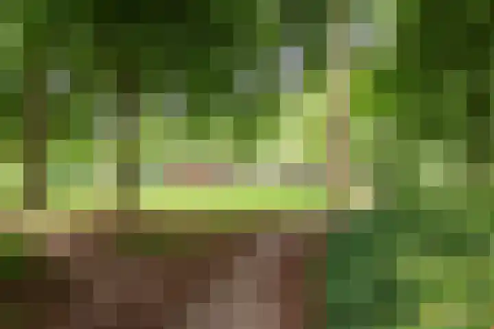 Bosstraat 5 Silvolde thumbnail 57