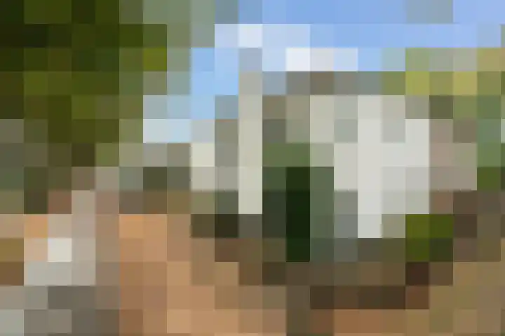 Bosstraat 51 Driebergen-Rijsenburg thumbnail 69