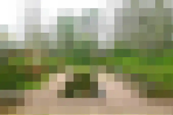 Bosstraat 51 Soest thumbnail 27