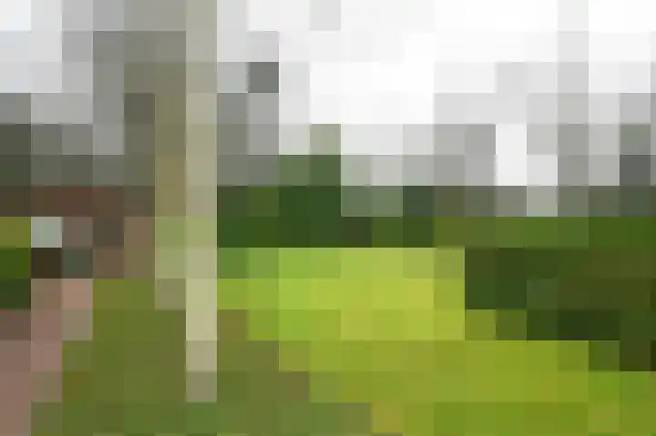 Bosstraat 51 Soest thumbnail 30