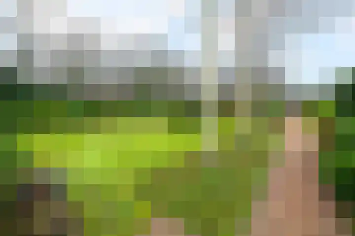 Bosstraat 51 Soest thumbnail 31