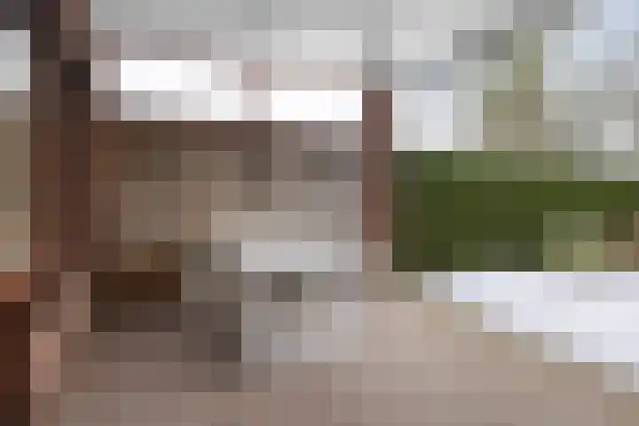 Bosstraat 6 Heibloem thumbnail 23