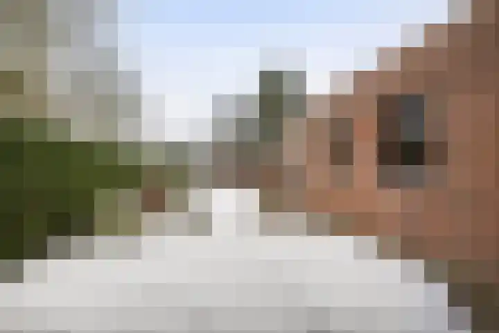 Bosstraat 6 Heibloem thumbnail 24