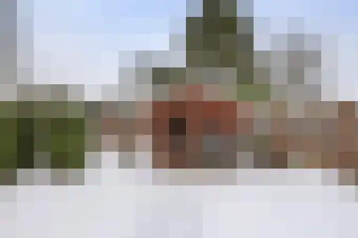 Bosstraat 6 Heibloem thumbnail 27