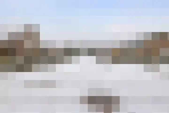 Bosstraat 6 Heibloem thumbnail 36