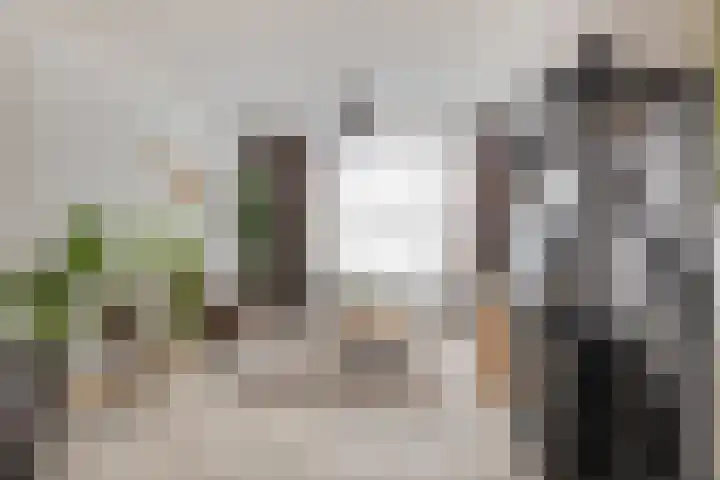 Bosstraat 6 Heibloem thumbnail 4
