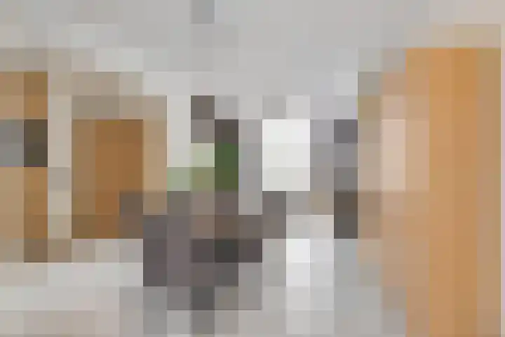 Bosstraat 6 Heibloem thumbnail 9
