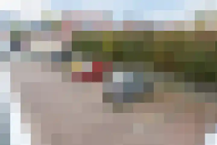 Bosstraat 6 Valkenswaard thumbnail 5