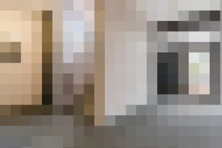 Bosstraat 6 Valkenswaard thumbnail 7