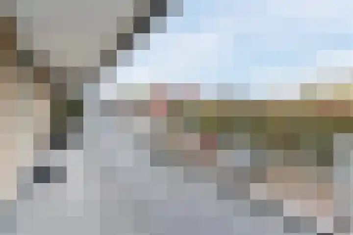 Bosstraat 6 Valkenswaard thumbnail 8