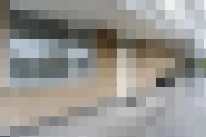 Bosstraat 6 Valkenswaard thumbnail 9